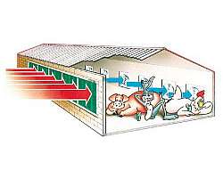 Empresa de irrigação de telhado empresarial